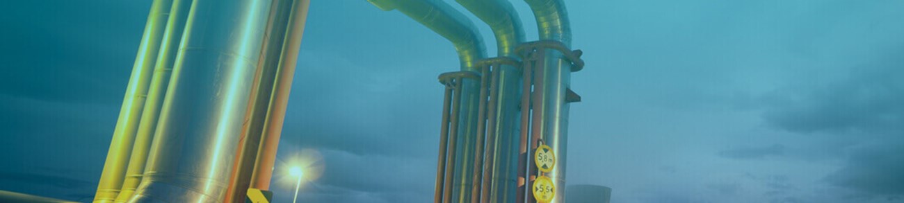 Pipeline bridge