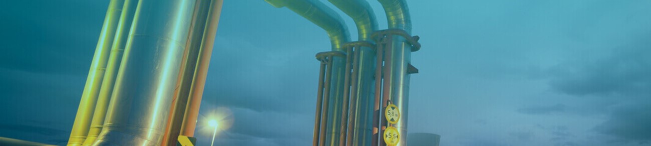 Pipeline bridge